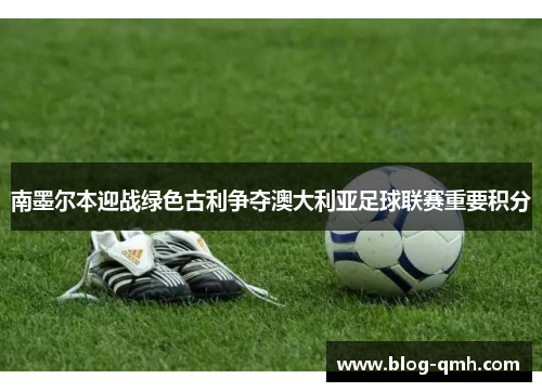 南墨尔本迎战绿色古利争夺澳大利亚足球联赛重要积分